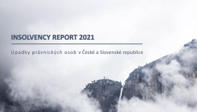 Insolvency Report 11/2021